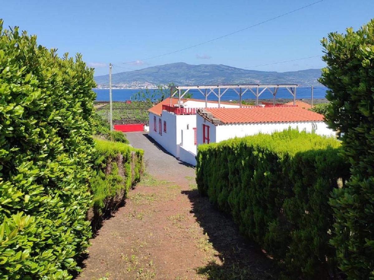 Casa Da Ilha Villa Madalena  Exterior photo