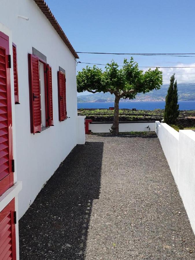 Casa Da Ilha Villa Madalena  Exterior photo